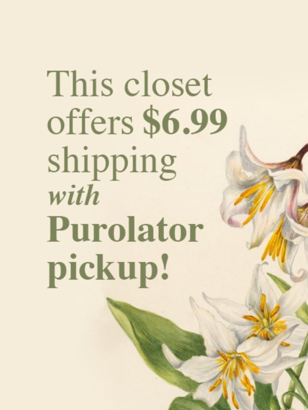 📦 $6.99 Shipping with Purolator pickup!